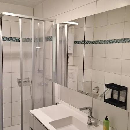 Apartment Ii Schoene Monteur-handwerker In Bingen - Blick Auf Nahe Naehe A60 A61