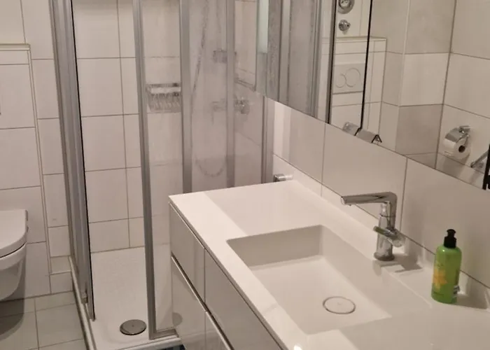 Ii Schoene Monteur-handwerker In Bingen - Blick Auf Nahe Naehe A60 A61 公寓 *