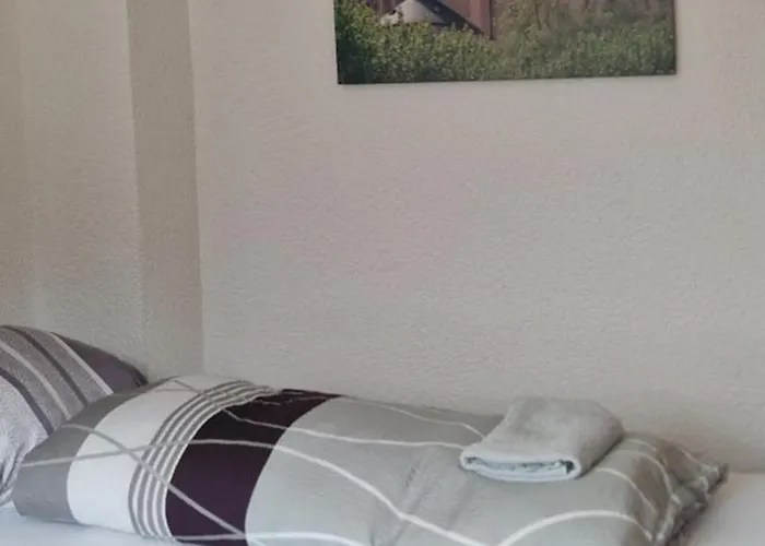 公寓 Ii Schoene Monteur-handwerker In Bingen - Blick Auf Nahe Naehe A60 A61 莱茵河畔的宾根